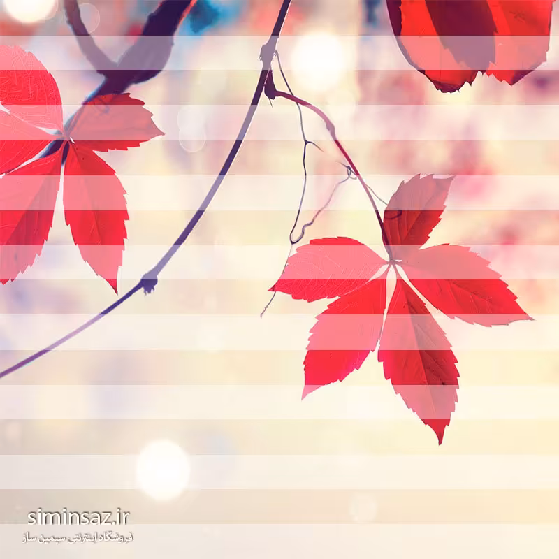 پرده زبرا کد 1016