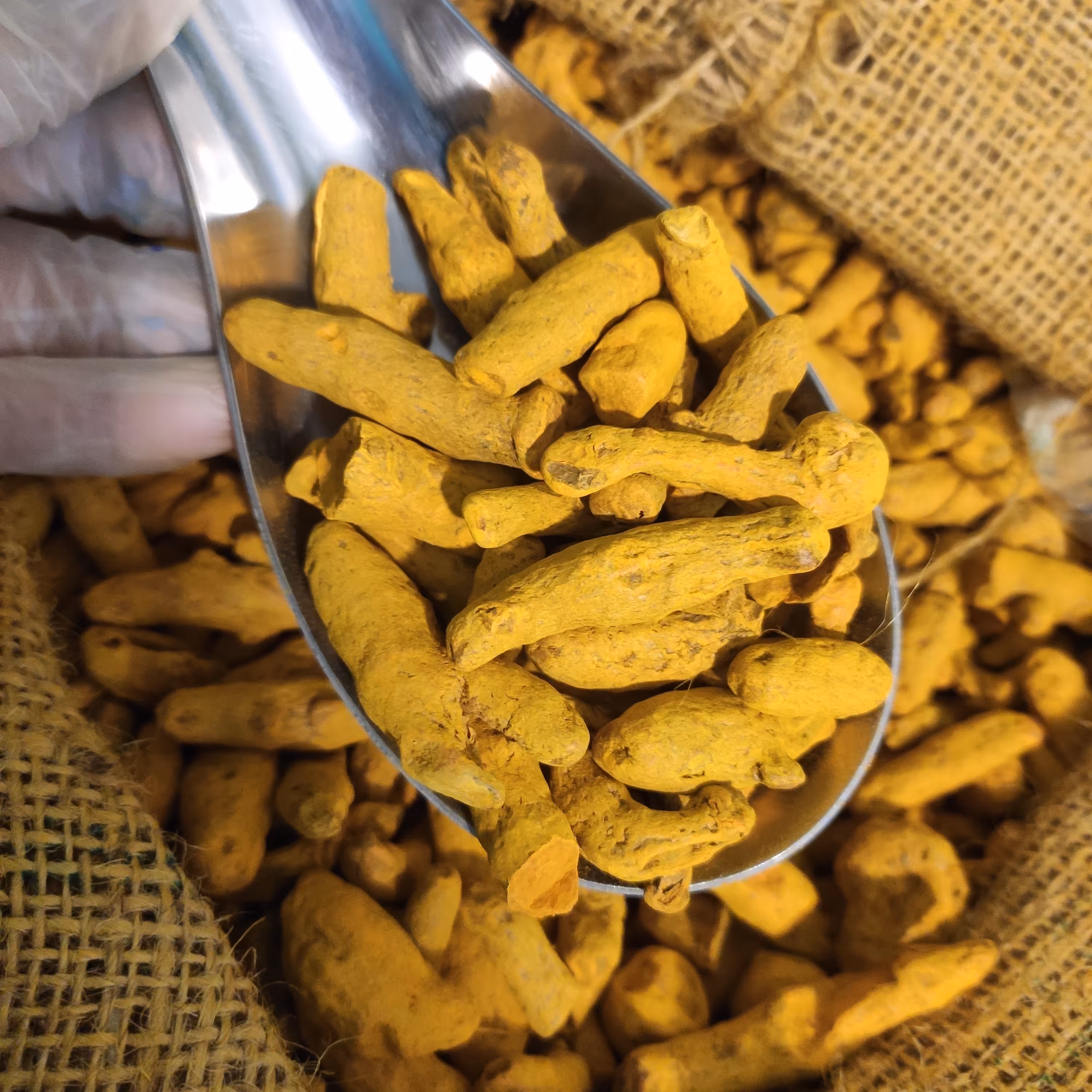 پودر زردچوبه هندی لوکس صد در صد خالص با کیفیت عاالی