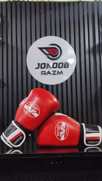 دستکش بوکس وکتوری