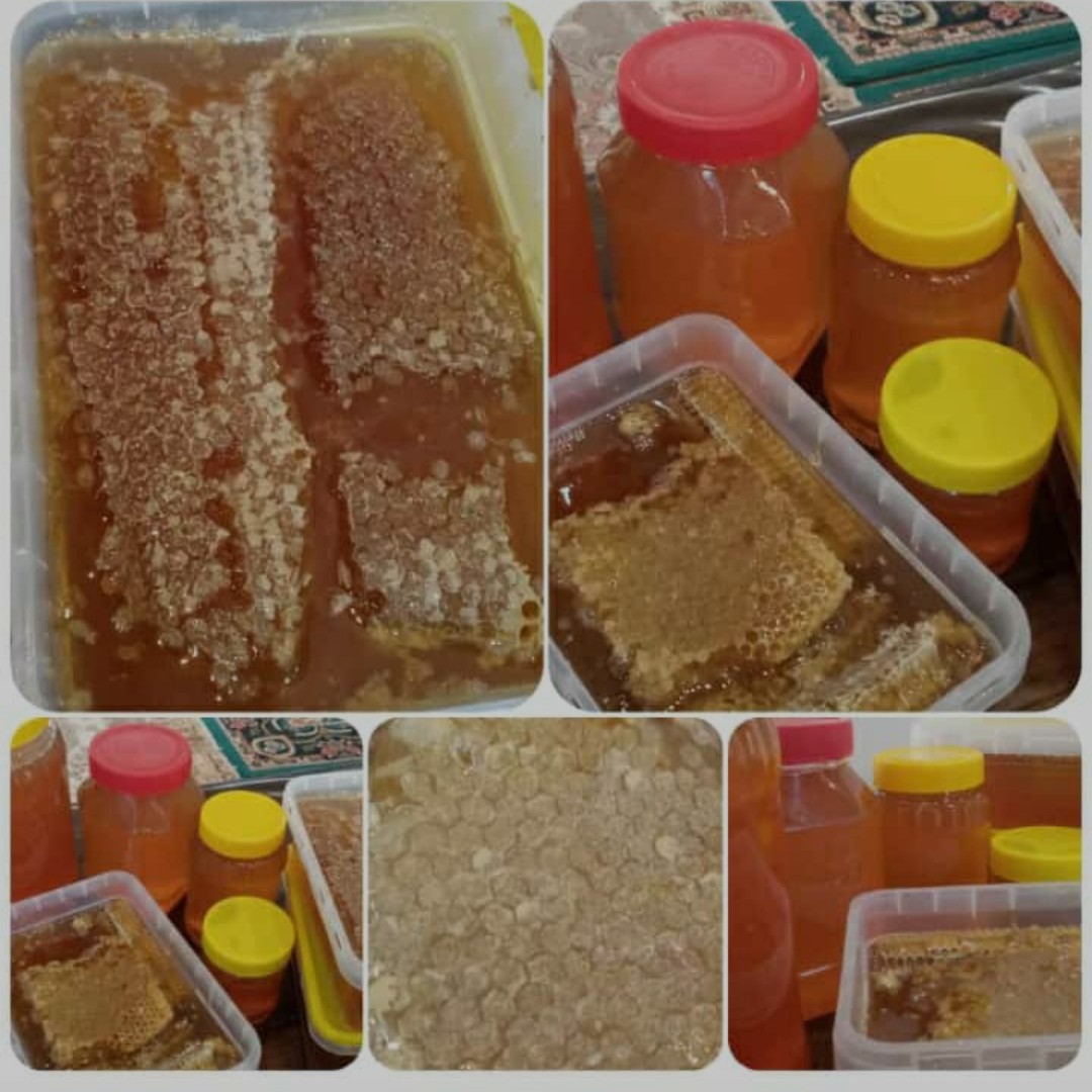 عسل طبیعی بدون موم وباموم کاملا اورگانیک