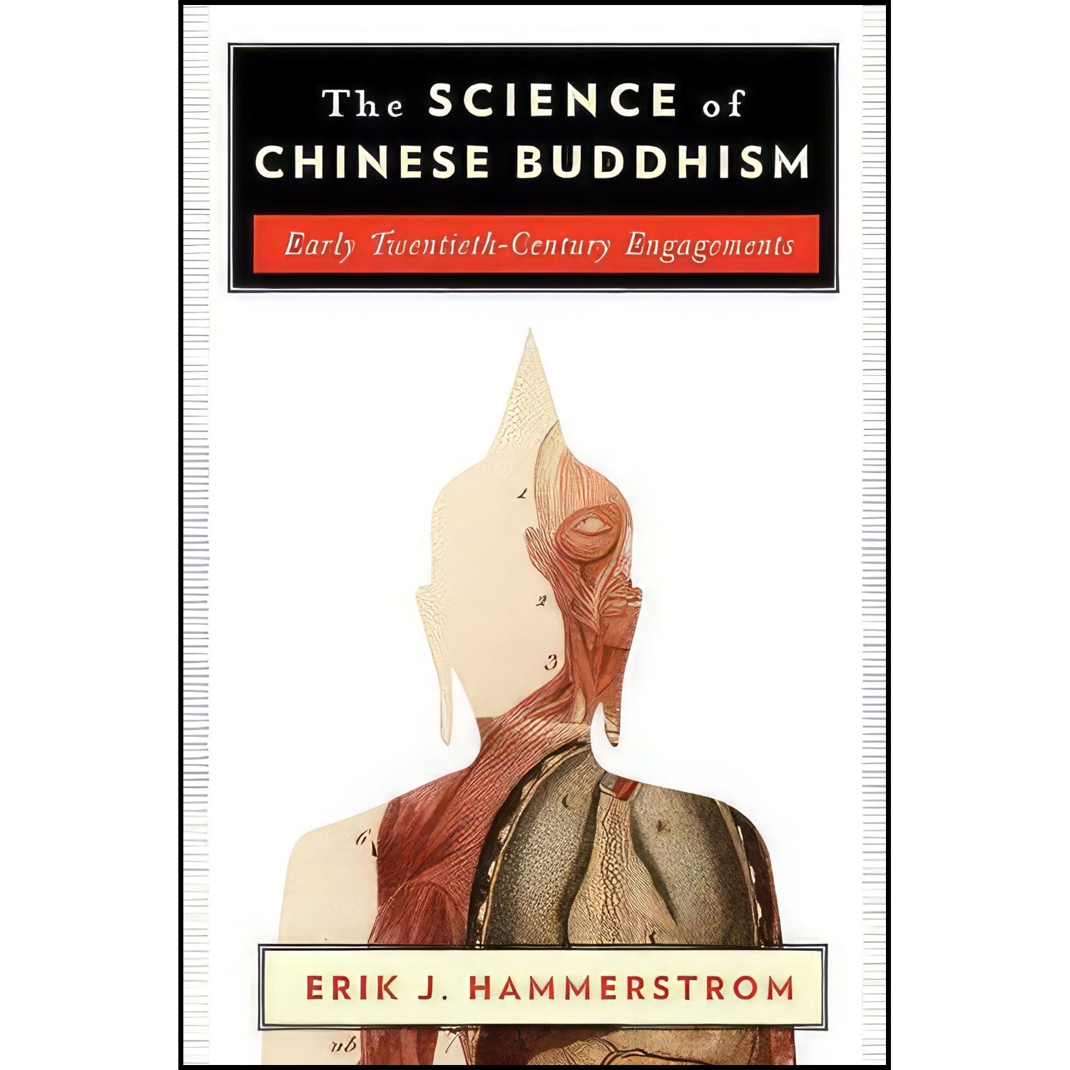 کتاب زبان اصلی The Science of Chinese Buddhism اثر Erik J Hammerstrom
