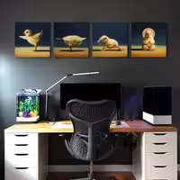 قاب شاسی طرح جوجه کد c-126  