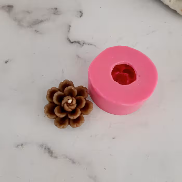 قالب کاکتوس