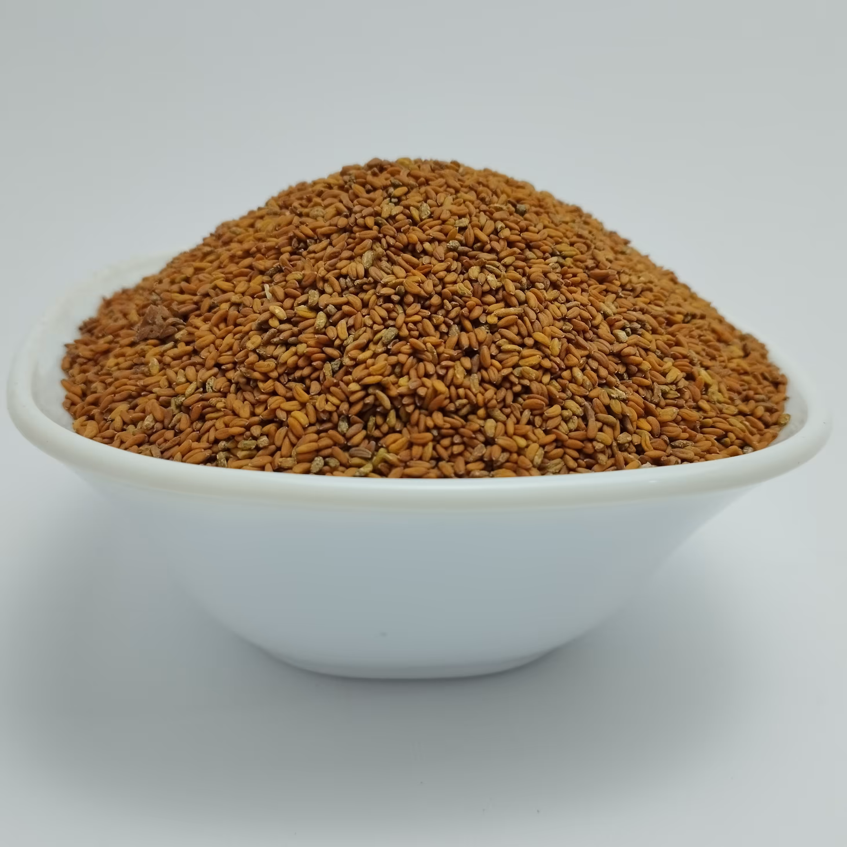 بذر شنبلیله ( Fenugreek )  ( trigonella Foenum-Graecum  ) 40 گرم