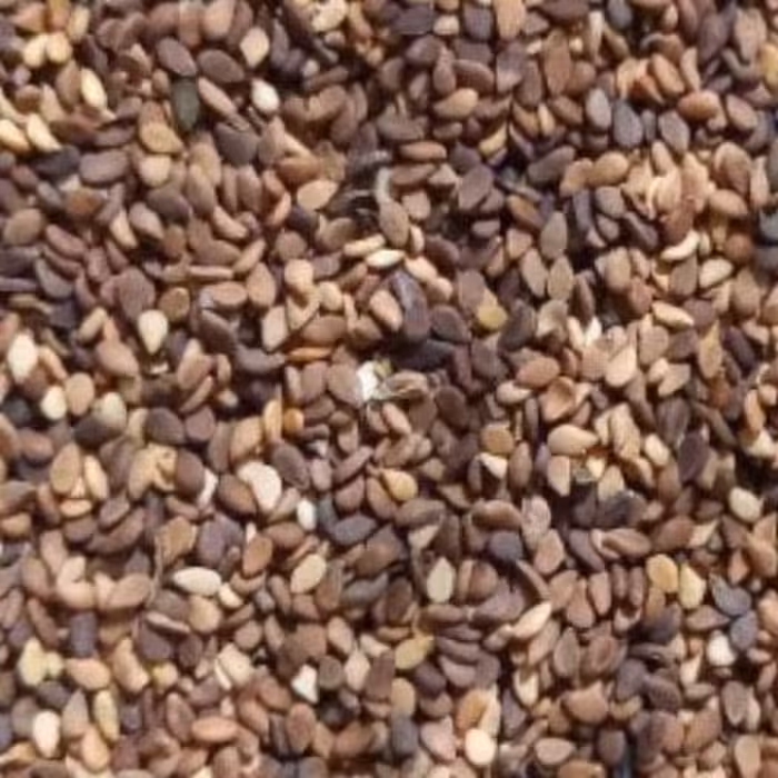 کنجداعلا جنوب تروتمیز200گرمی ارزانسرا