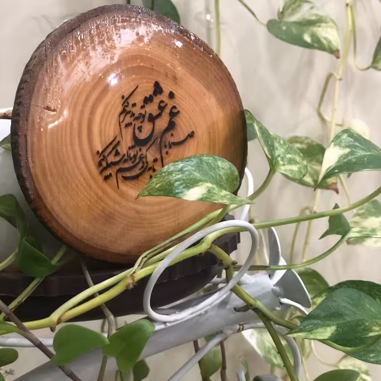 حک نمای چوب کالباسی