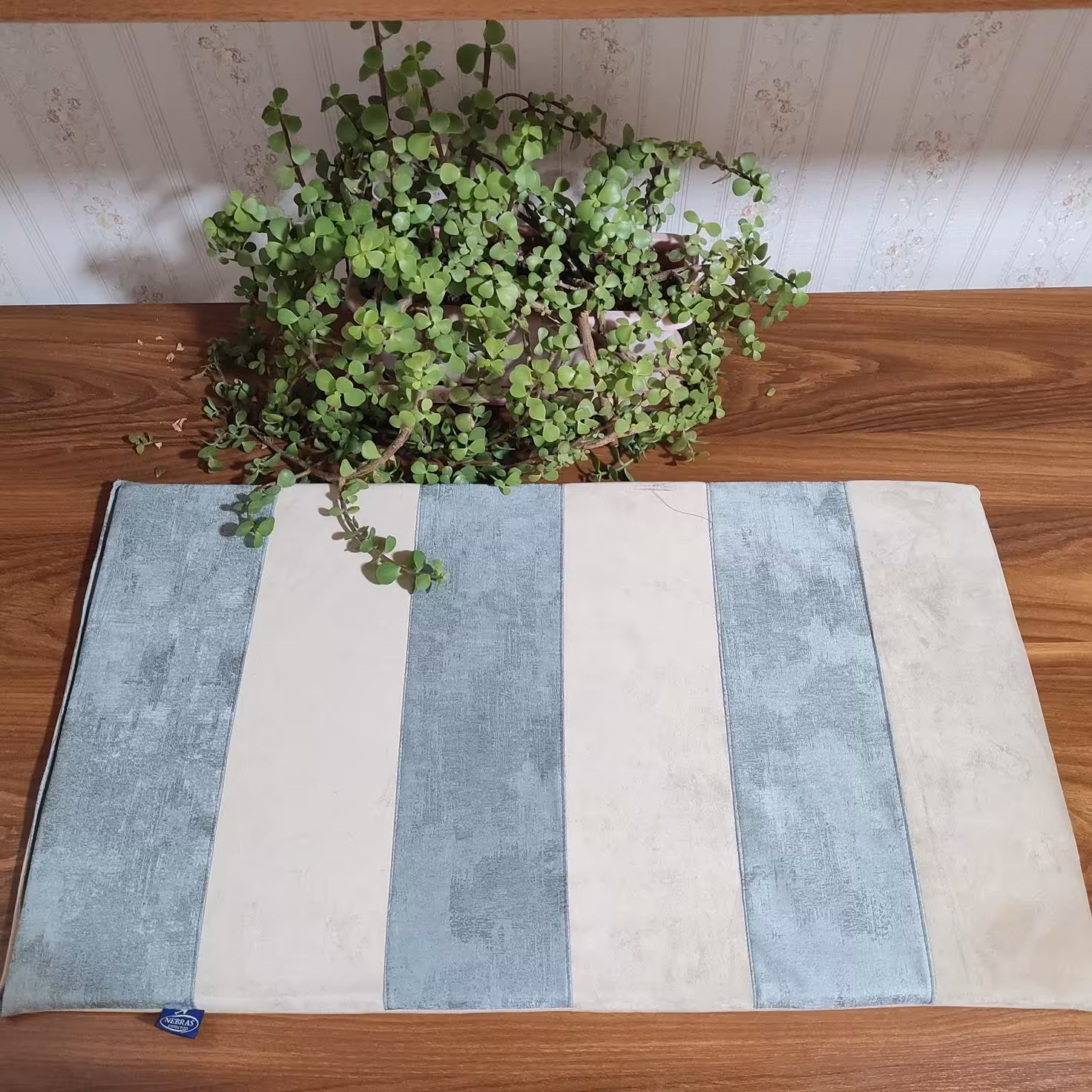 پاسینکی آشپزخانه طبی