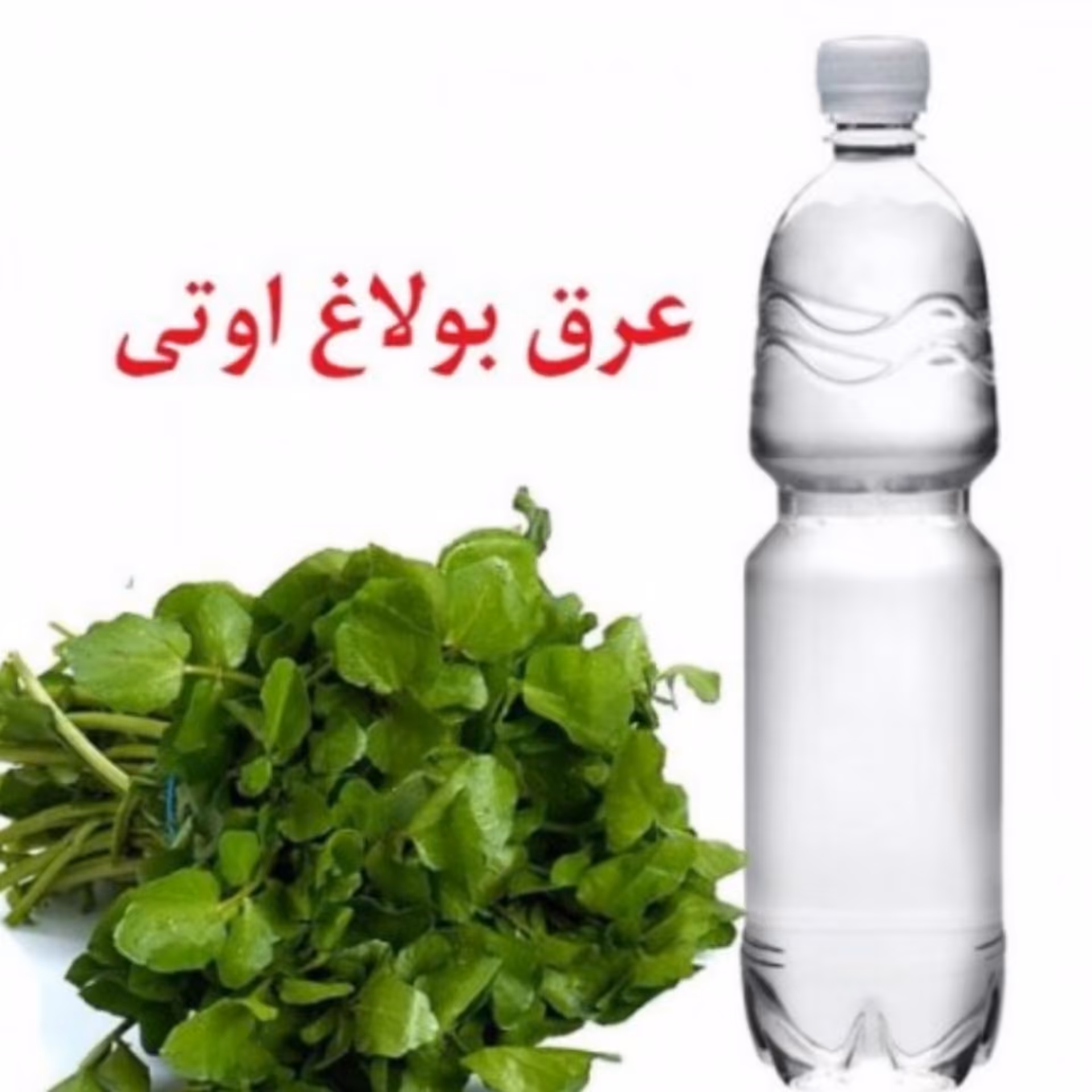 عرق بولاغ اوتی یک لیتر