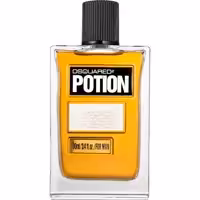 ادو تویلت مردانه دیسکوارد مدل Potion حجم 100 میلی لیتر