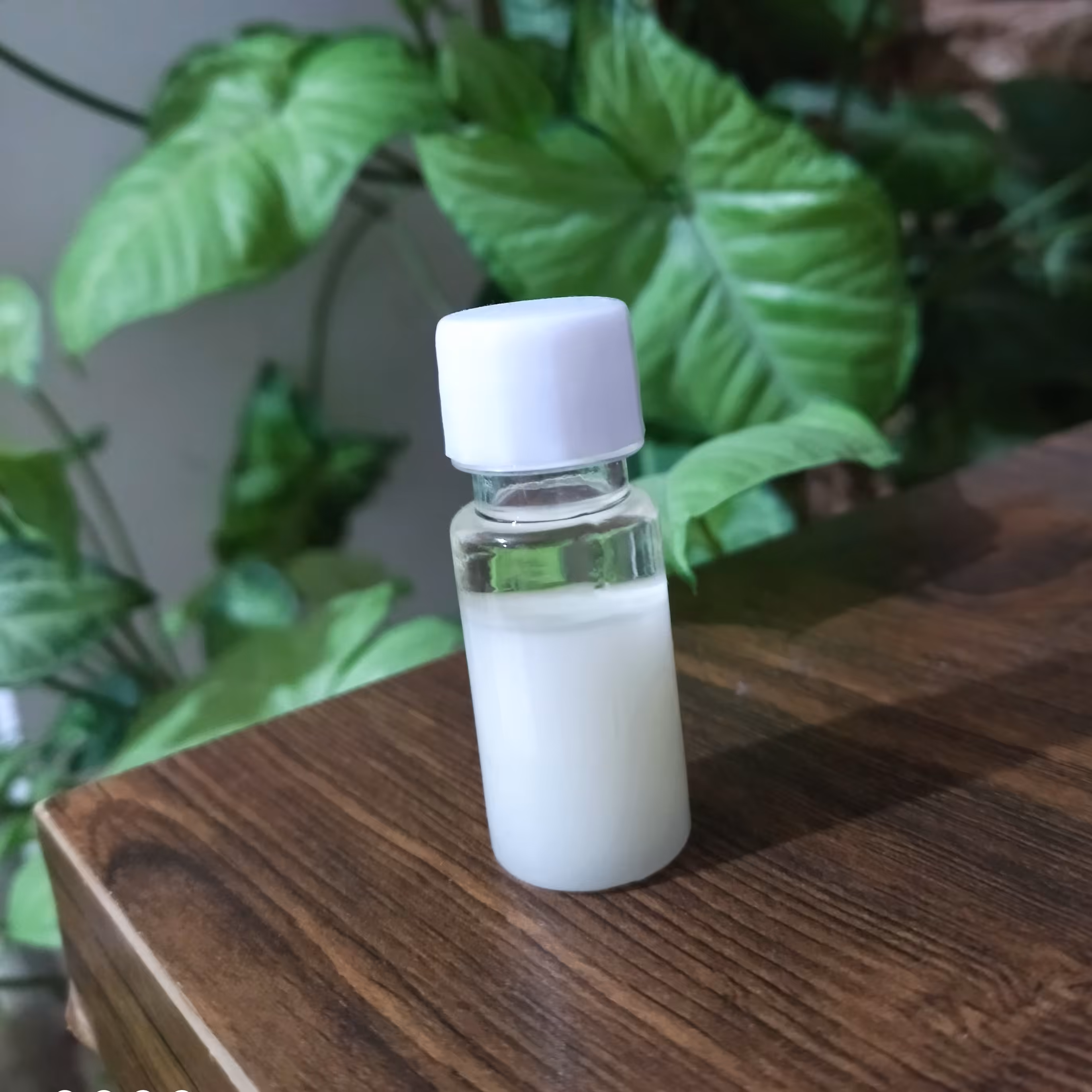 روغن شتر مرغ 