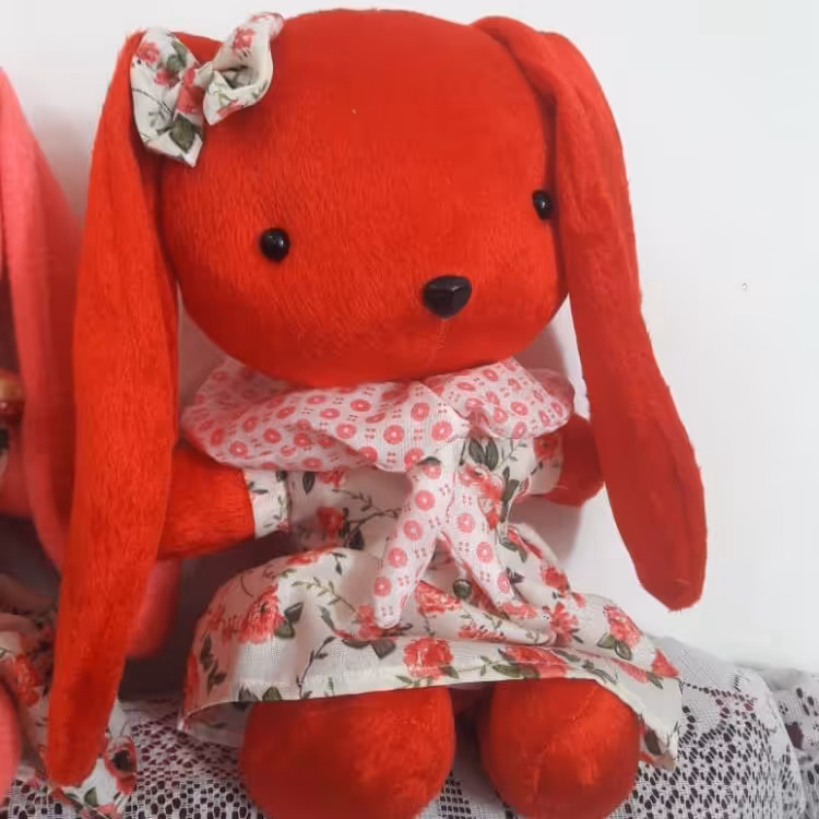 خرگوش خانم لباس دار لاکچری