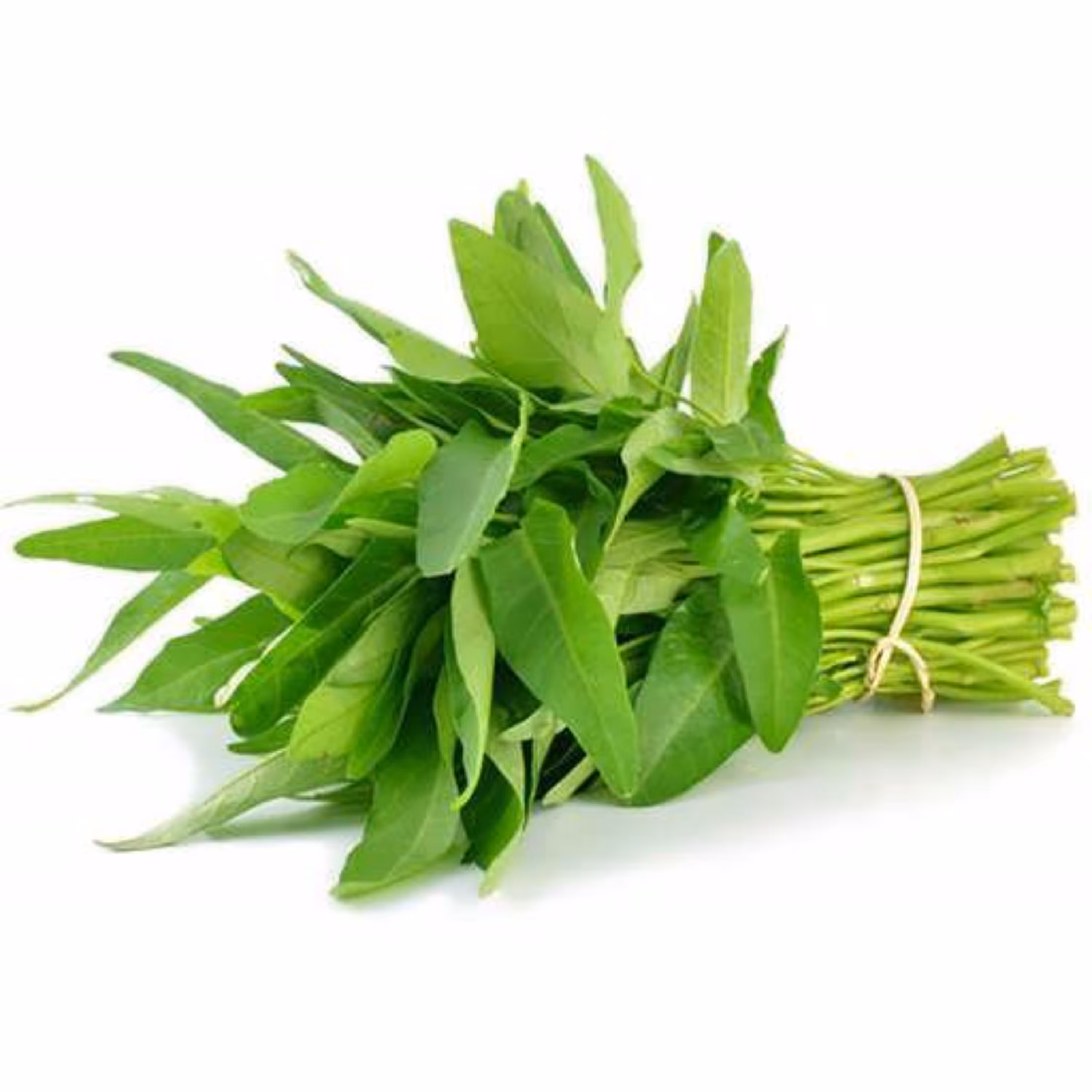 بذر اسفناج آبی برگ بامبو 10 عددی