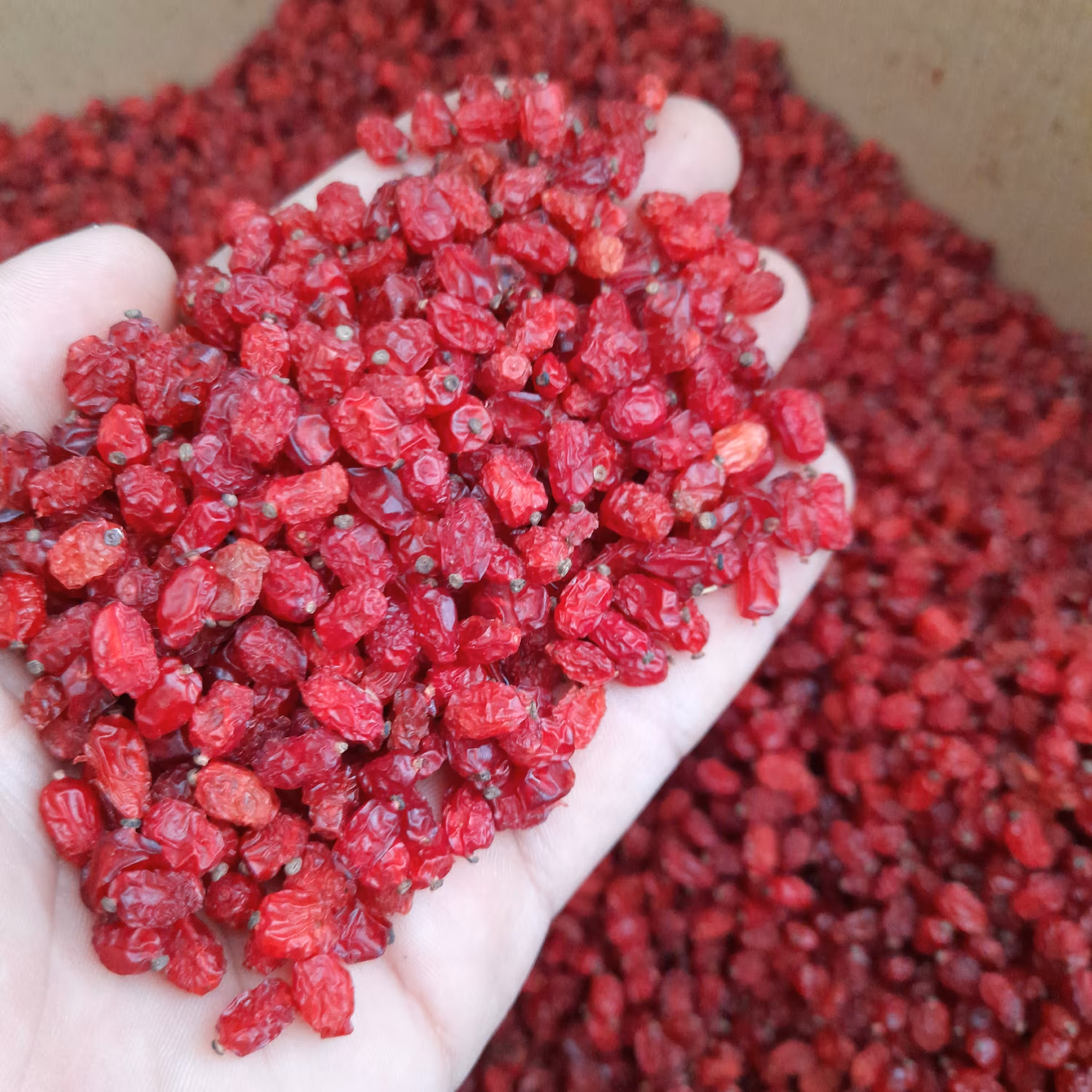 زرشک پفکی (250گرمی)