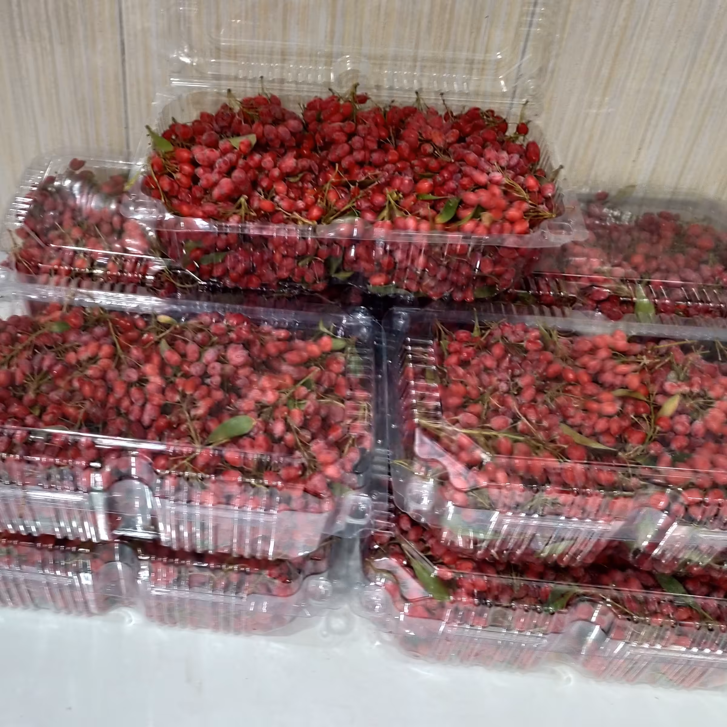 زرشک تازه وشیرین