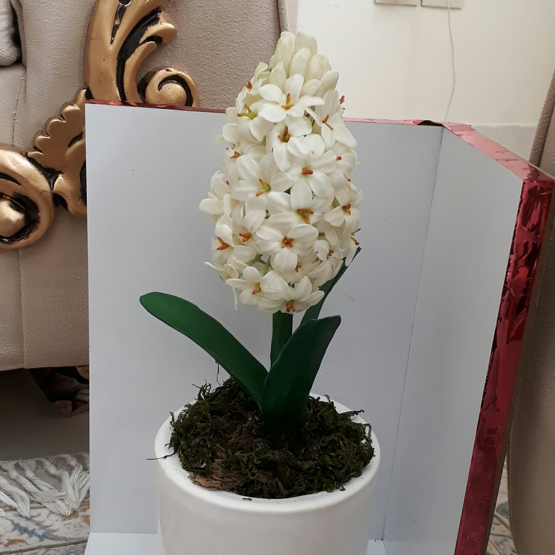 خمیر منعطف