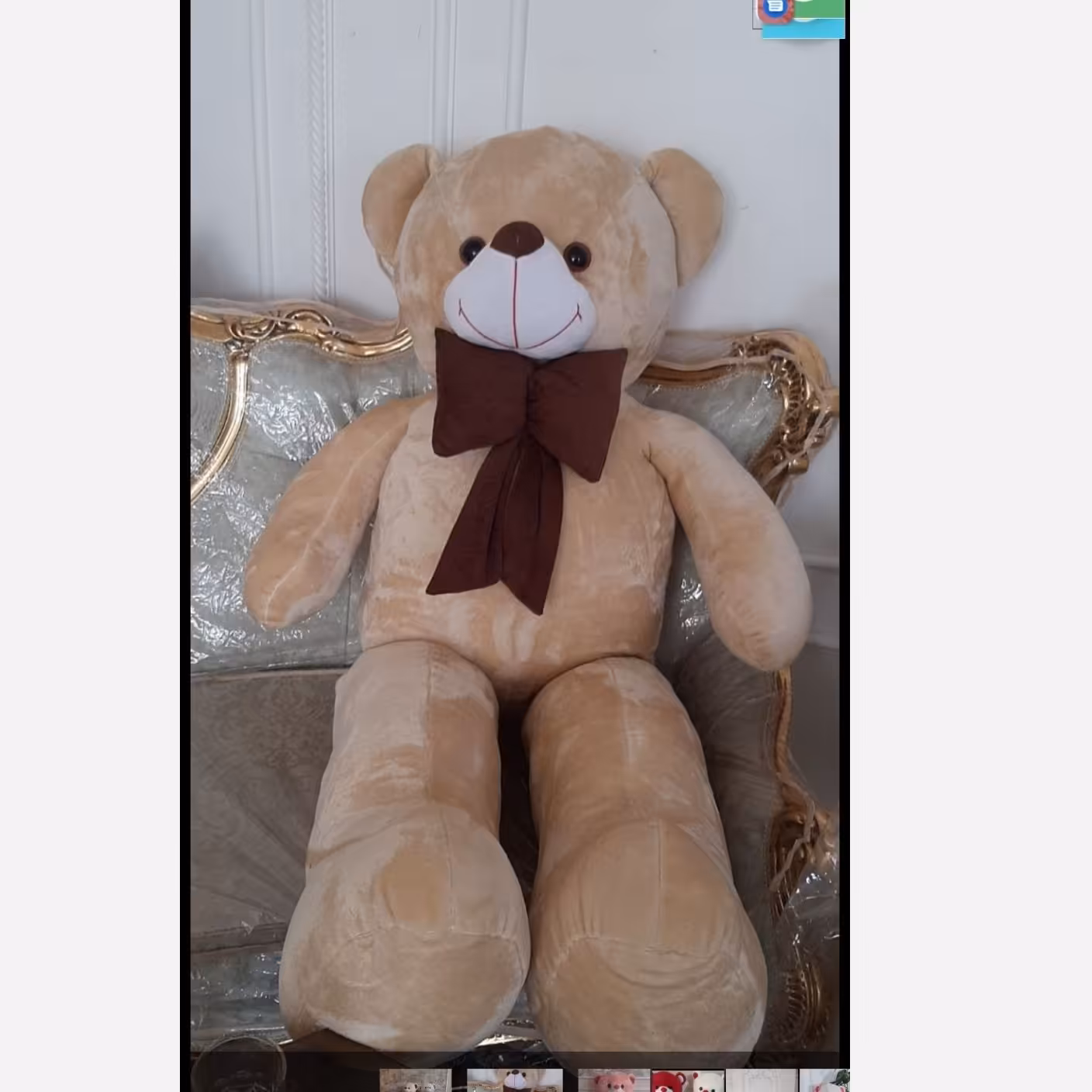 شاسخین عروسک