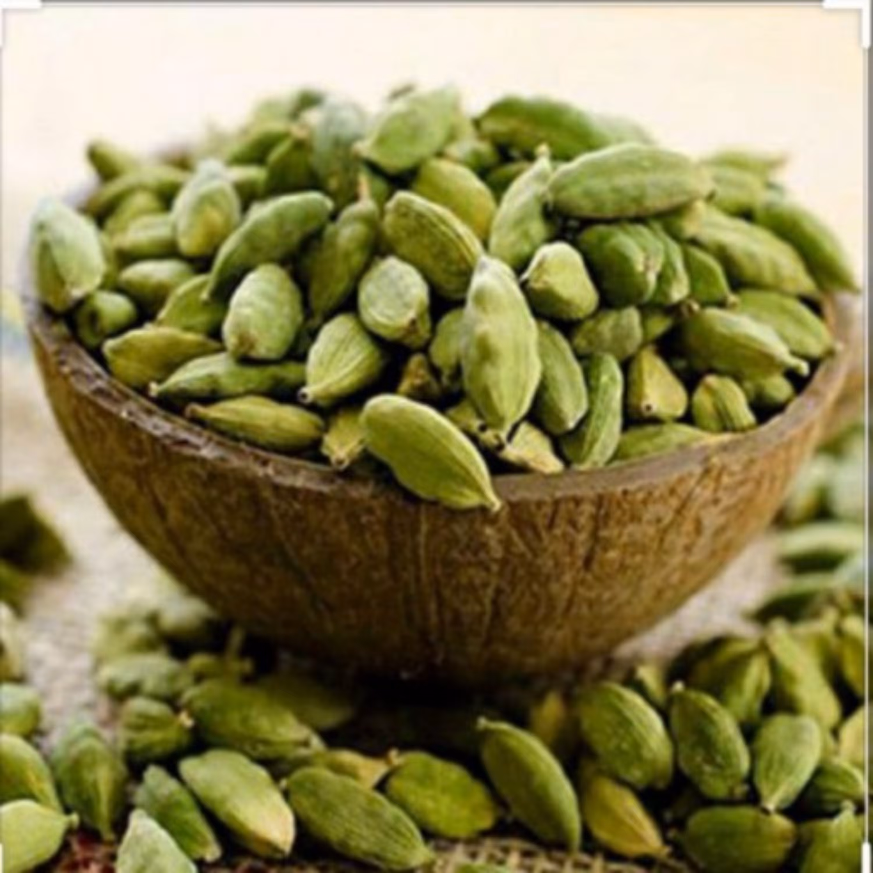 هل اکبر بنفش (هندی) 10 گرمی