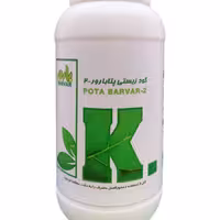 باکتری پتا بارور -2 ( کود زیستی پتاسیم)