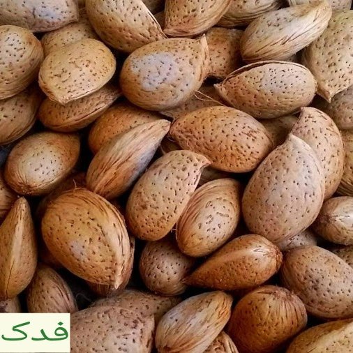 بادام سنگی ممتاز فدک (500گرم)