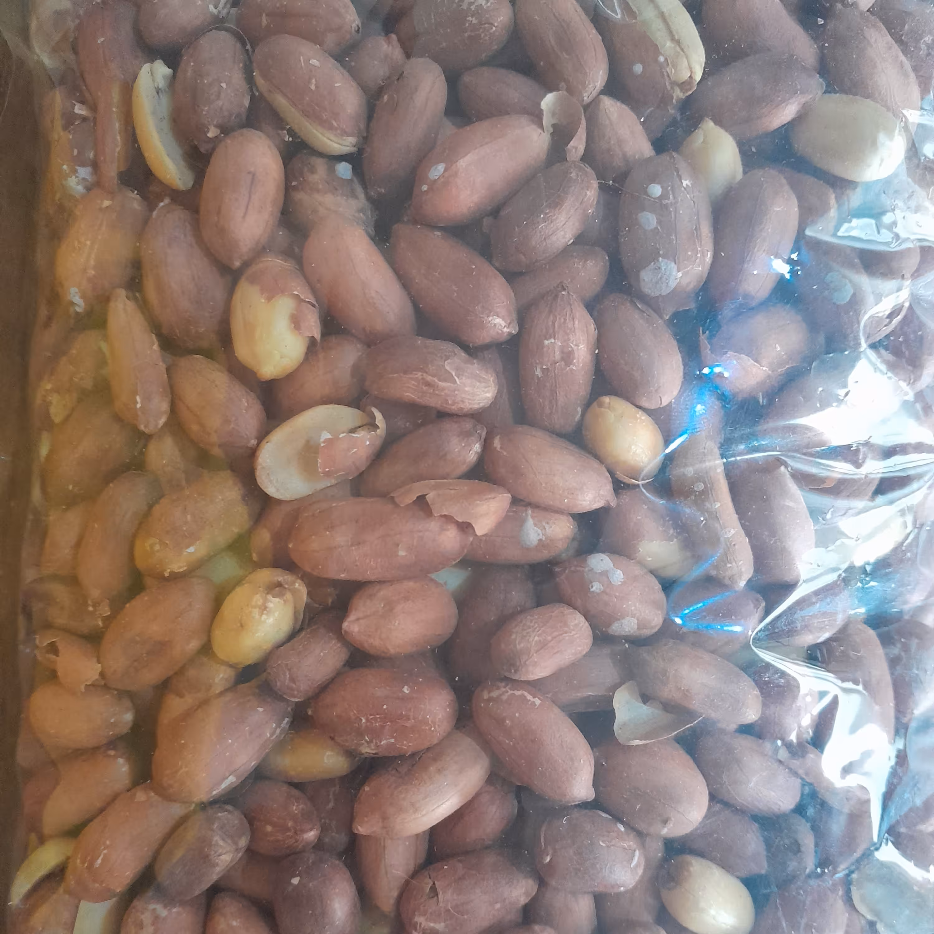 بادام زمینی 