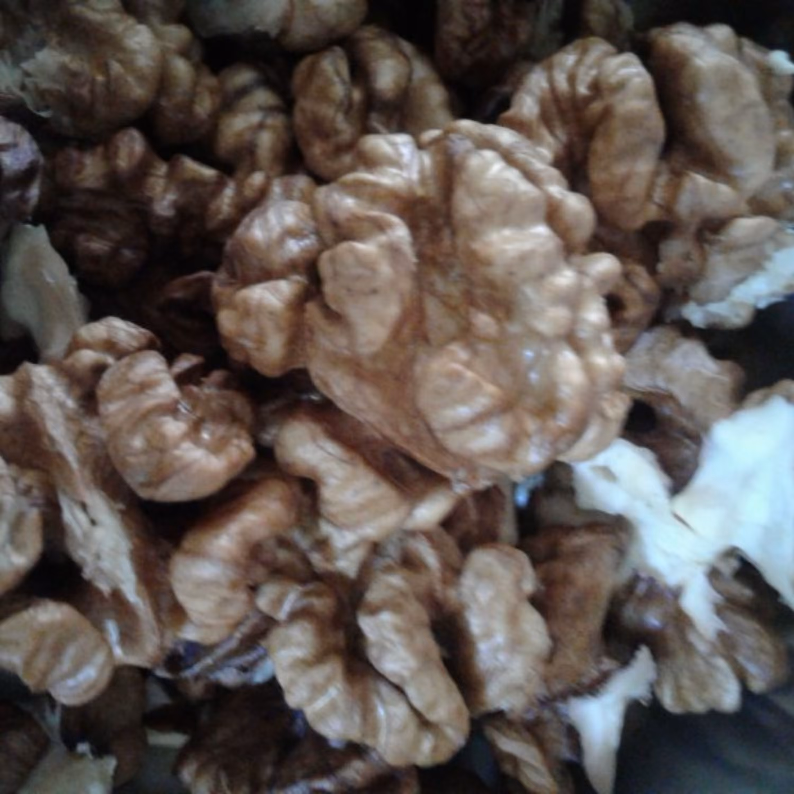 مغز گردو خورشتی قزوین