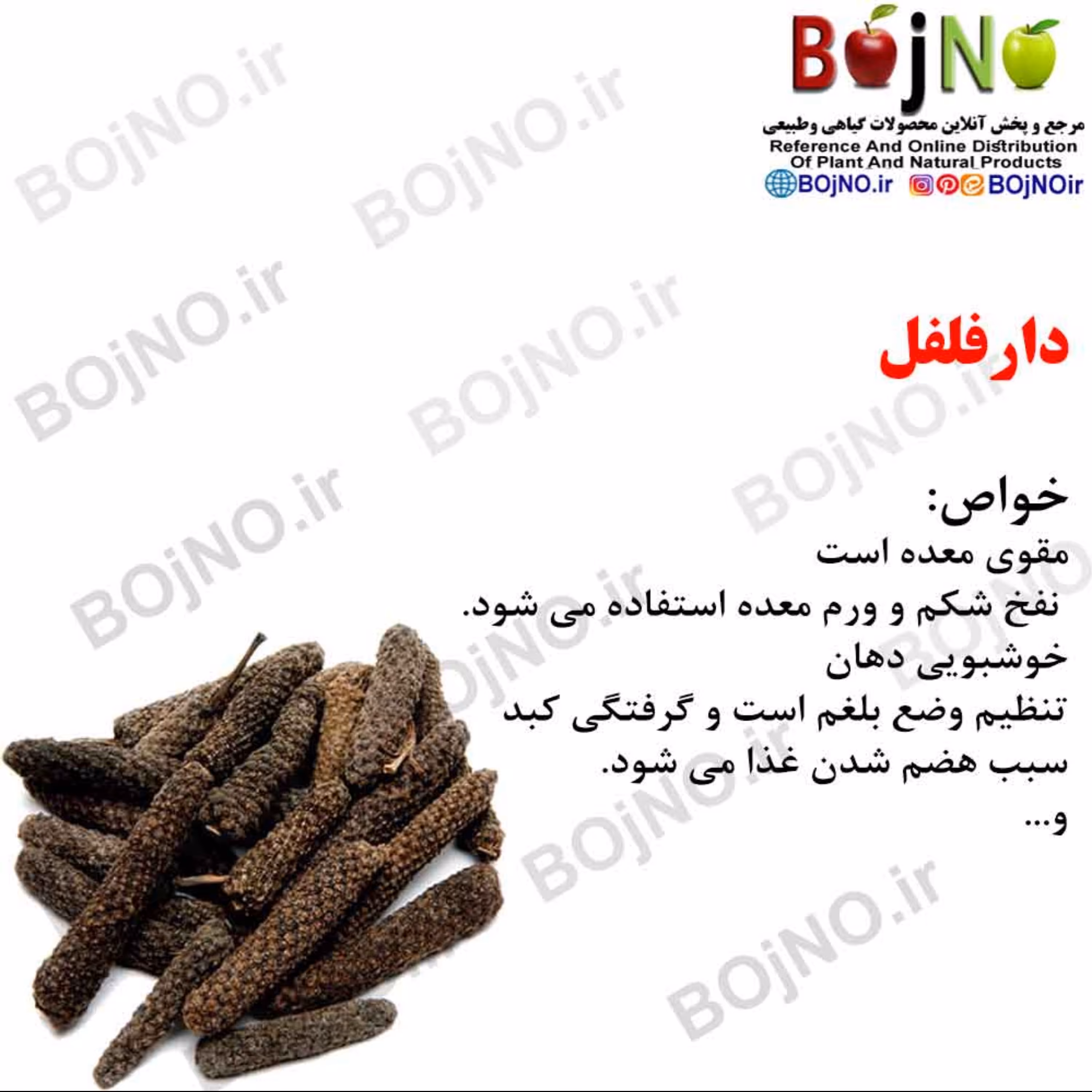 دارفلفل 50گرمی