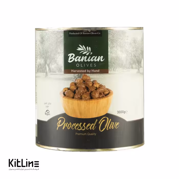 کنسرو زیتون پرورده بانیان 3 کیلوگرمی