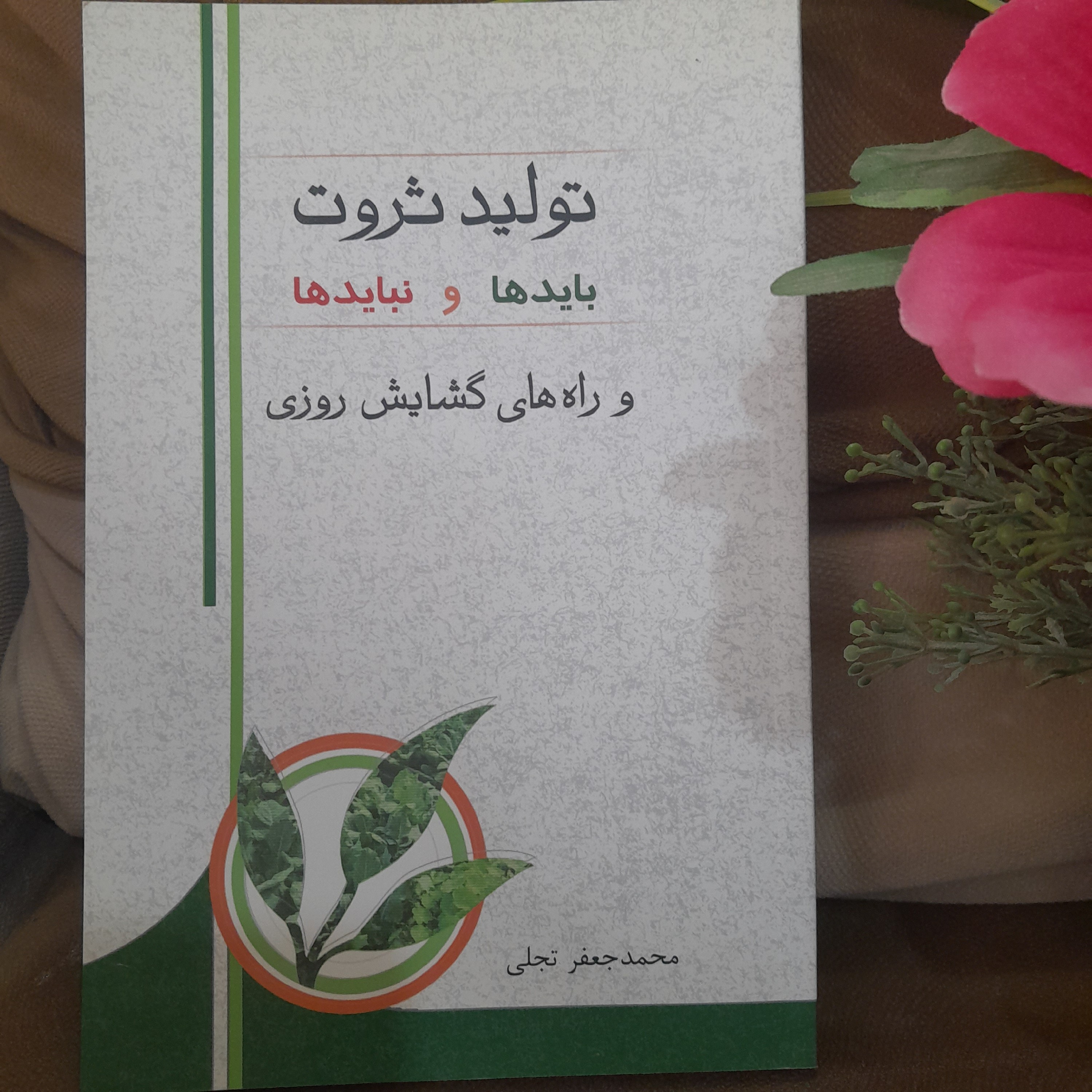 کتاب تولید ثروت،راه های رزق و روزی