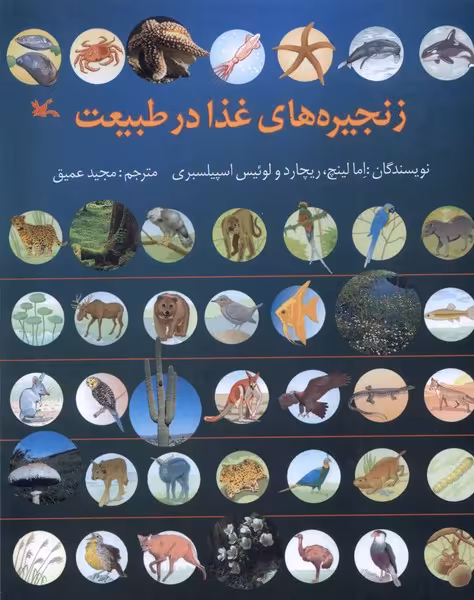 کتاب زنجیره های غذا در طبیعت کانون پرورش فکری