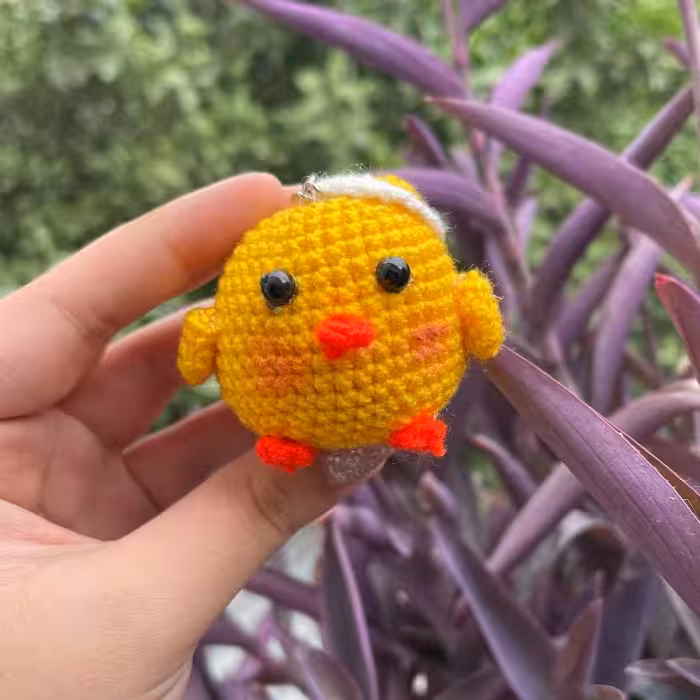 جاکلیدی جوجه