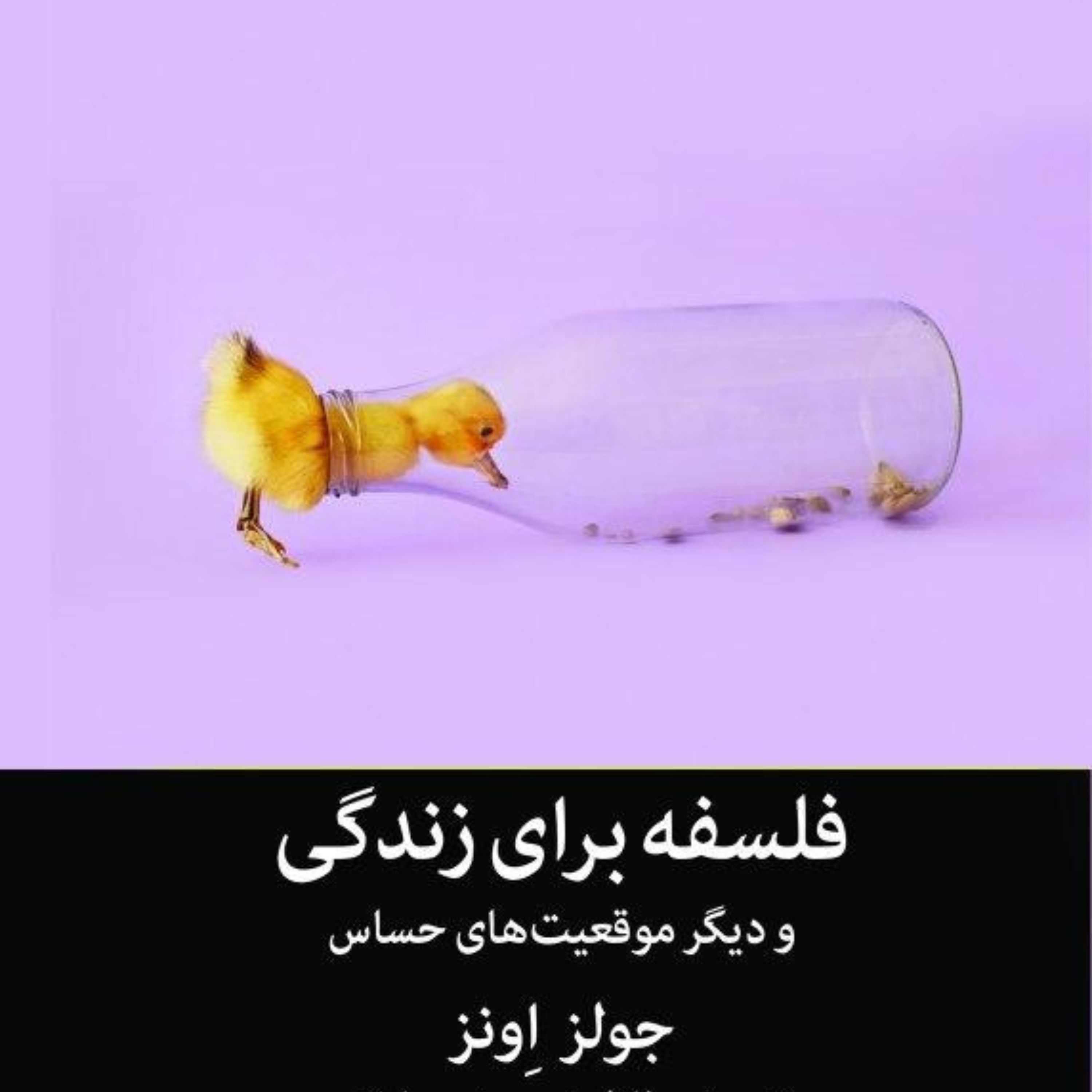 فلسفه برای زندگی و دیگر موقعیتهای حساس