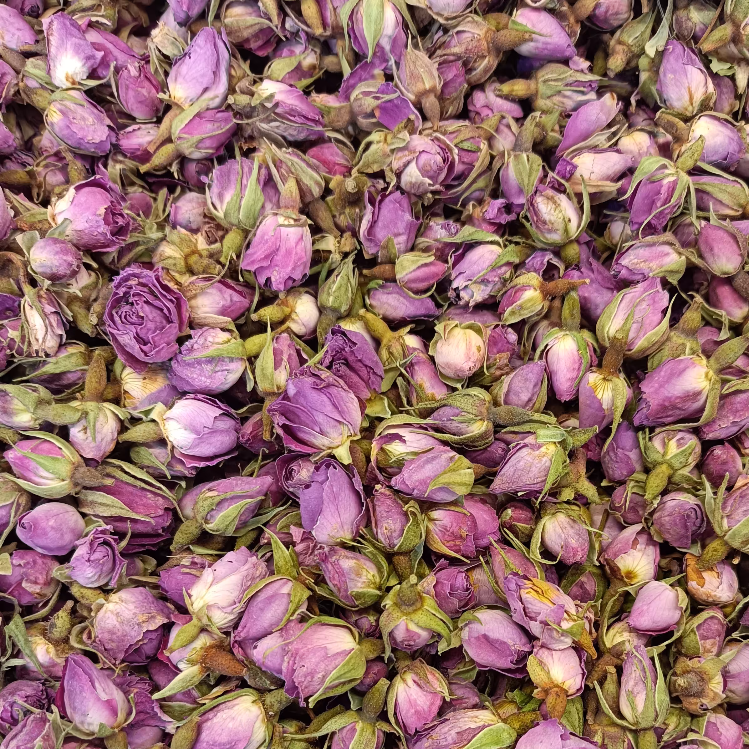 غنچه گل محمدی 50 گرمی 