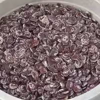 لوبیا عروس محلی ممتاز کیلویی 110