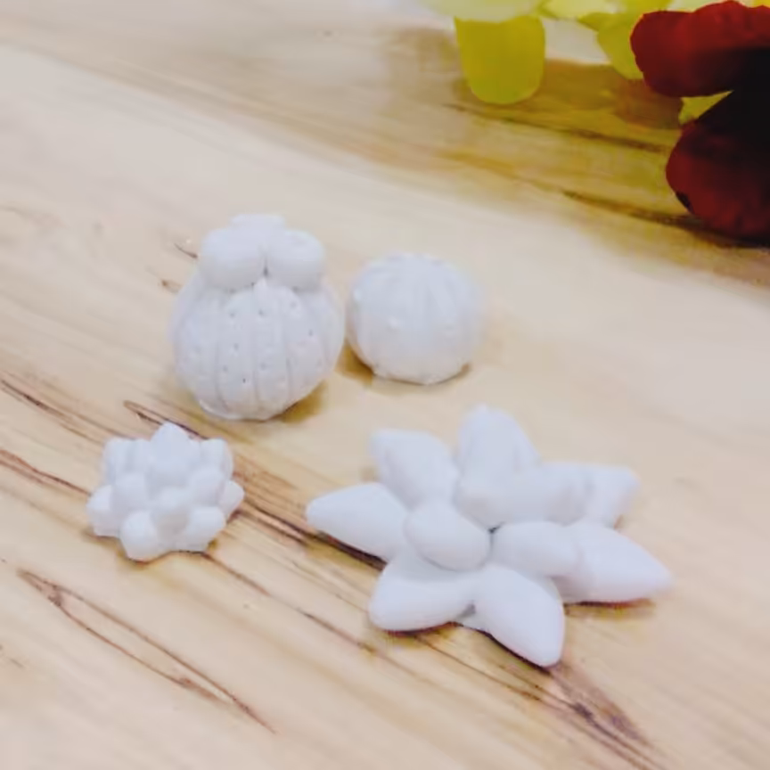 بیس خام کاکتوس 