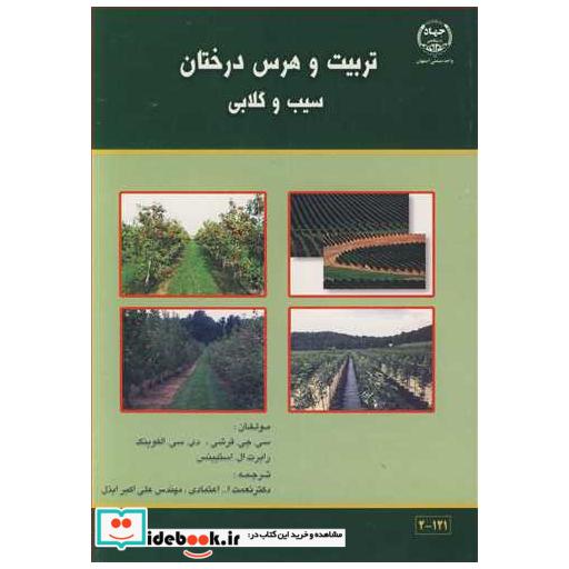 تربیت و هرس درختان سیب و گلابی