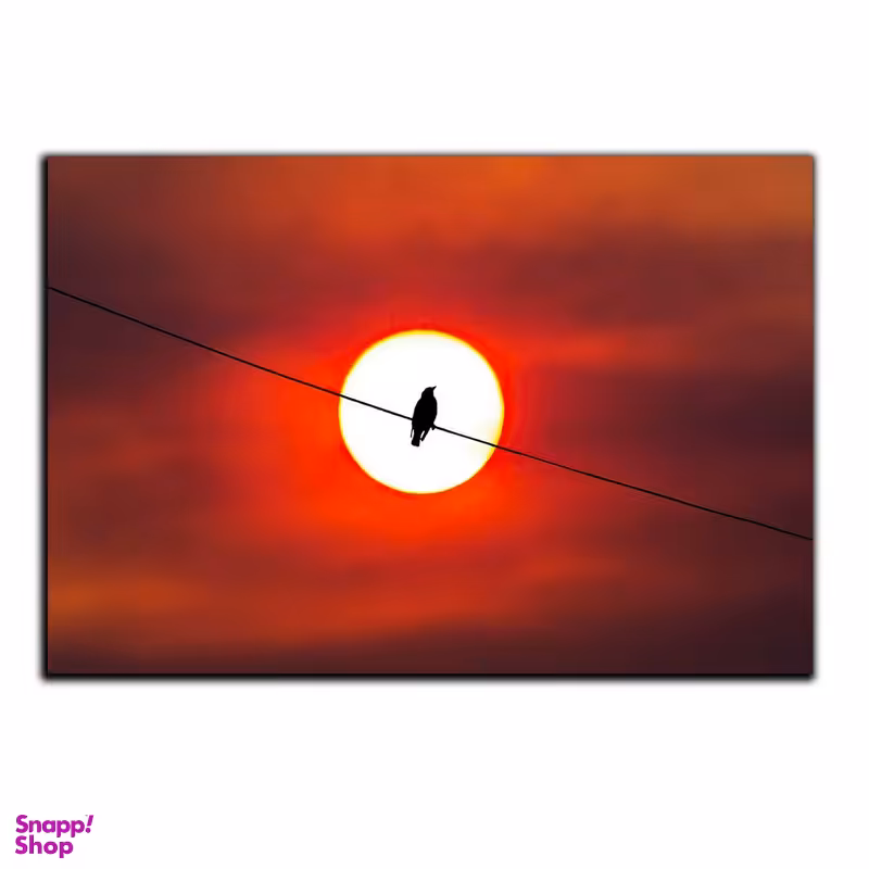 تابلو شاسی بکلیت طرح پرنده تنها مدل SH-S5122