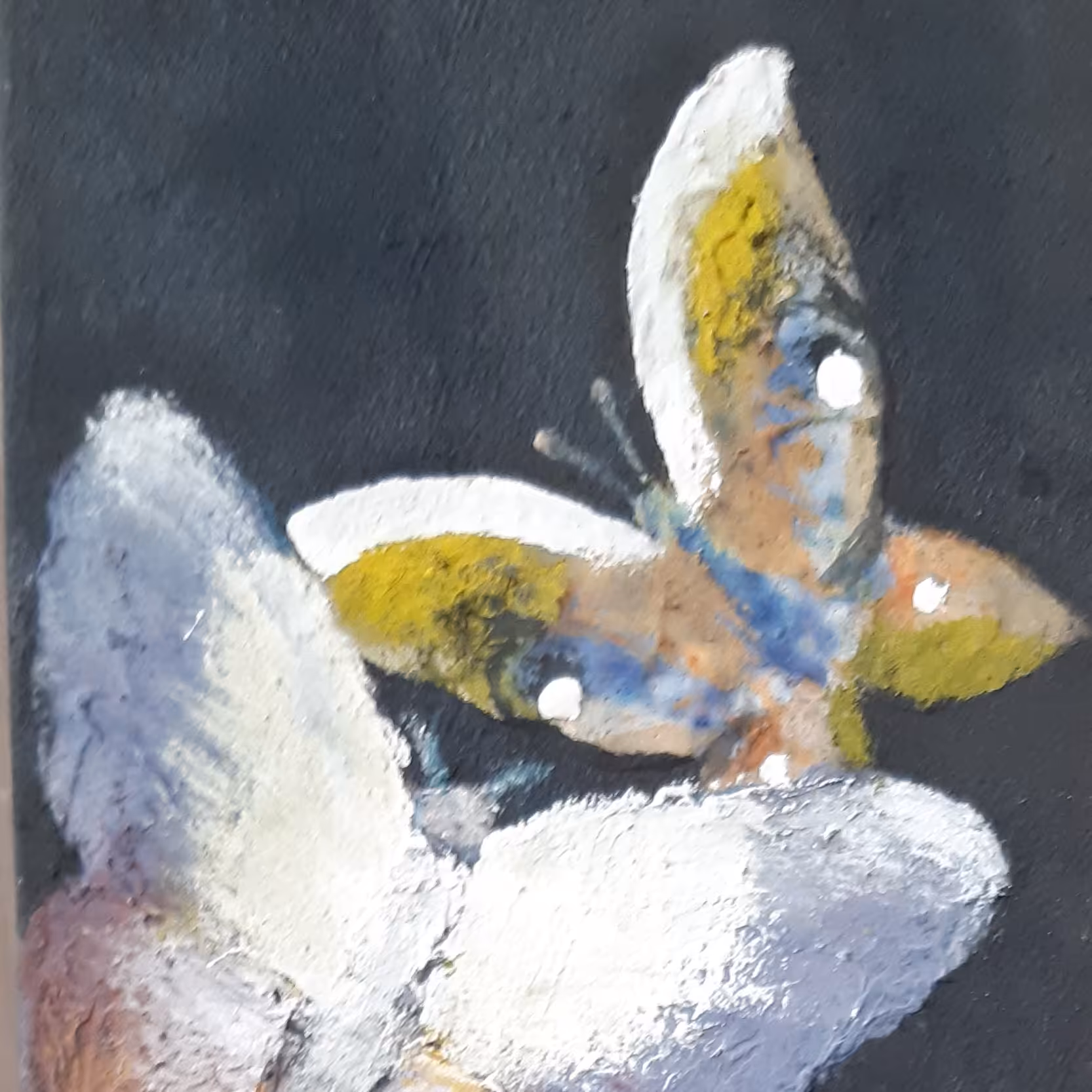 تابلونقاشی باخمیرتکسچر روی بوم با موضوع پروانه هادرزمینه مشکی بارنگهای جذاب وبرجسته