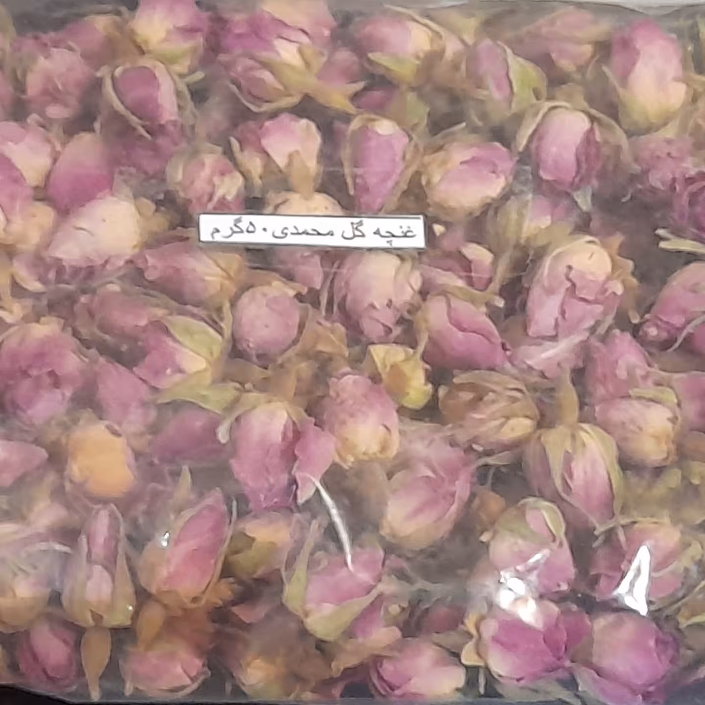 غنچه گل محمدی 