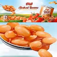 وکتور کنسرو لوبیا و گوجه تازه | گرافیک با طعم تربچه