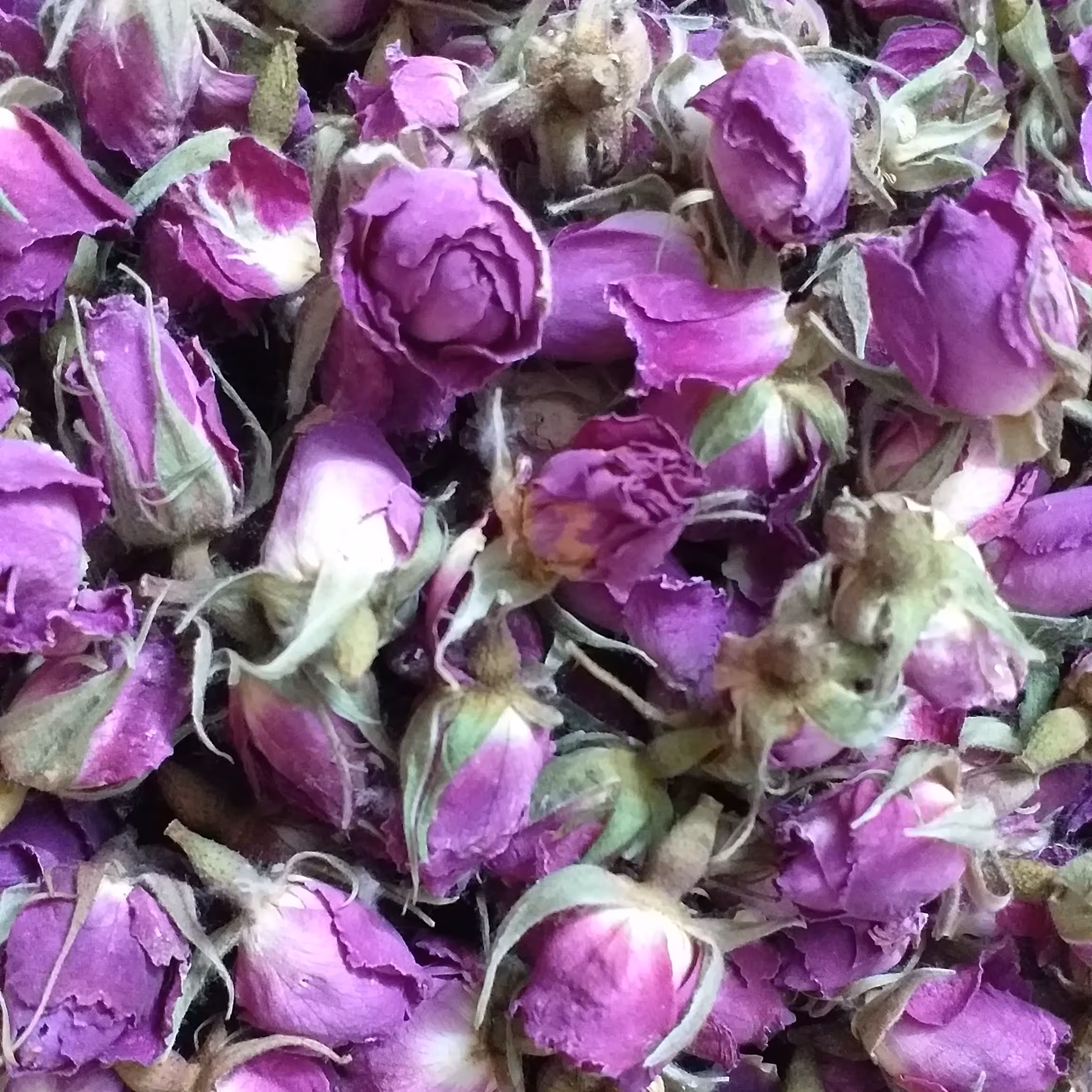 غنچه گل محمدی خشک-وزن به دلخواه مشتری -عطر وطعم بی نظیر