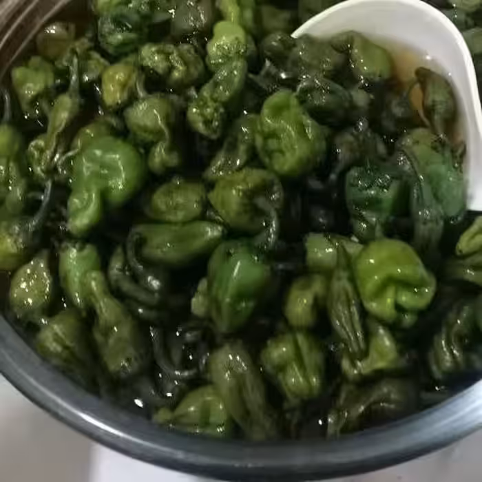 ترشی فلفل همدانی خانگی روح انگیز.      کیلویی