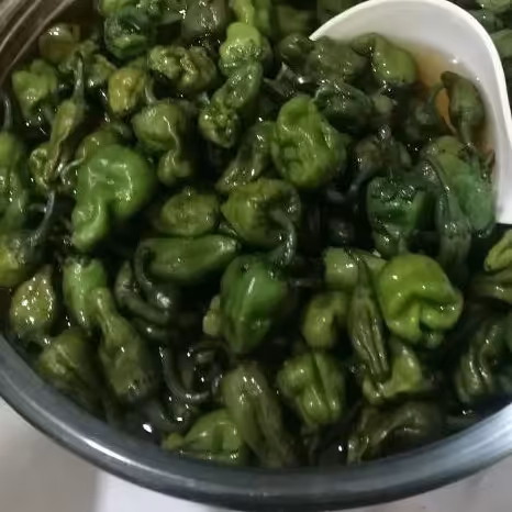 ترشی فلفل همدانی خانگی روح انگیز.      کیلویی