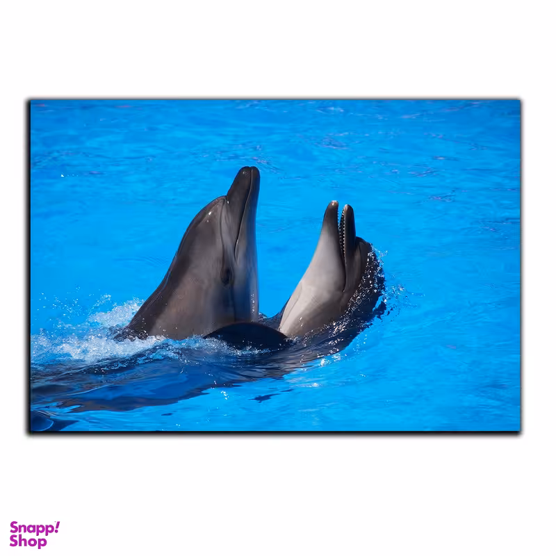 تابلو شاسی بکلیت طرح آبزیان دلفین مدل SH-S514