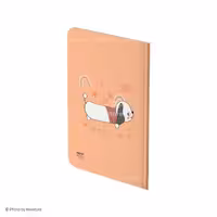 دفتر شومیز  40برگ وزیری الیپون کد 210