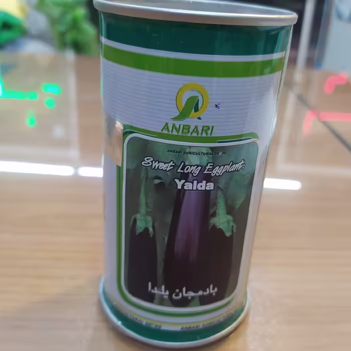 بذر فله ای  بادمجان یلدا  عنبری    ضد عفونی و اصلاح شده