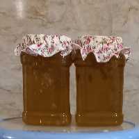 عسل آفتاب گردان ( نه نه کوکب)