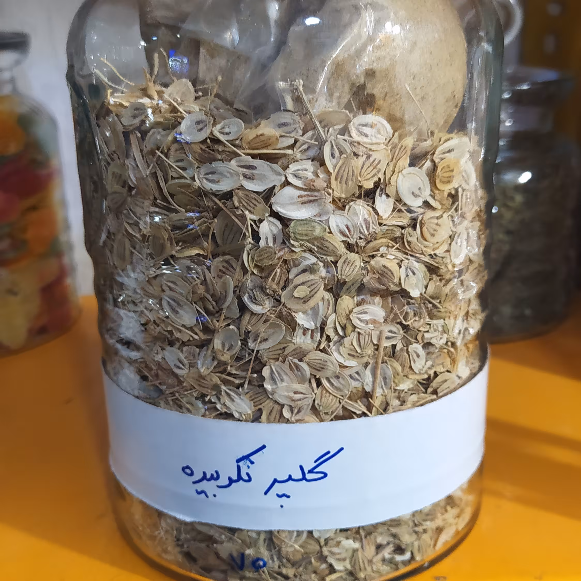 گلپر قلم اعلاء 500 گرم 