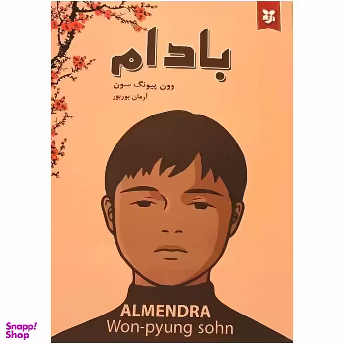 کتاب بادام اثر وون پیونگ سون انتشارات ایرمان