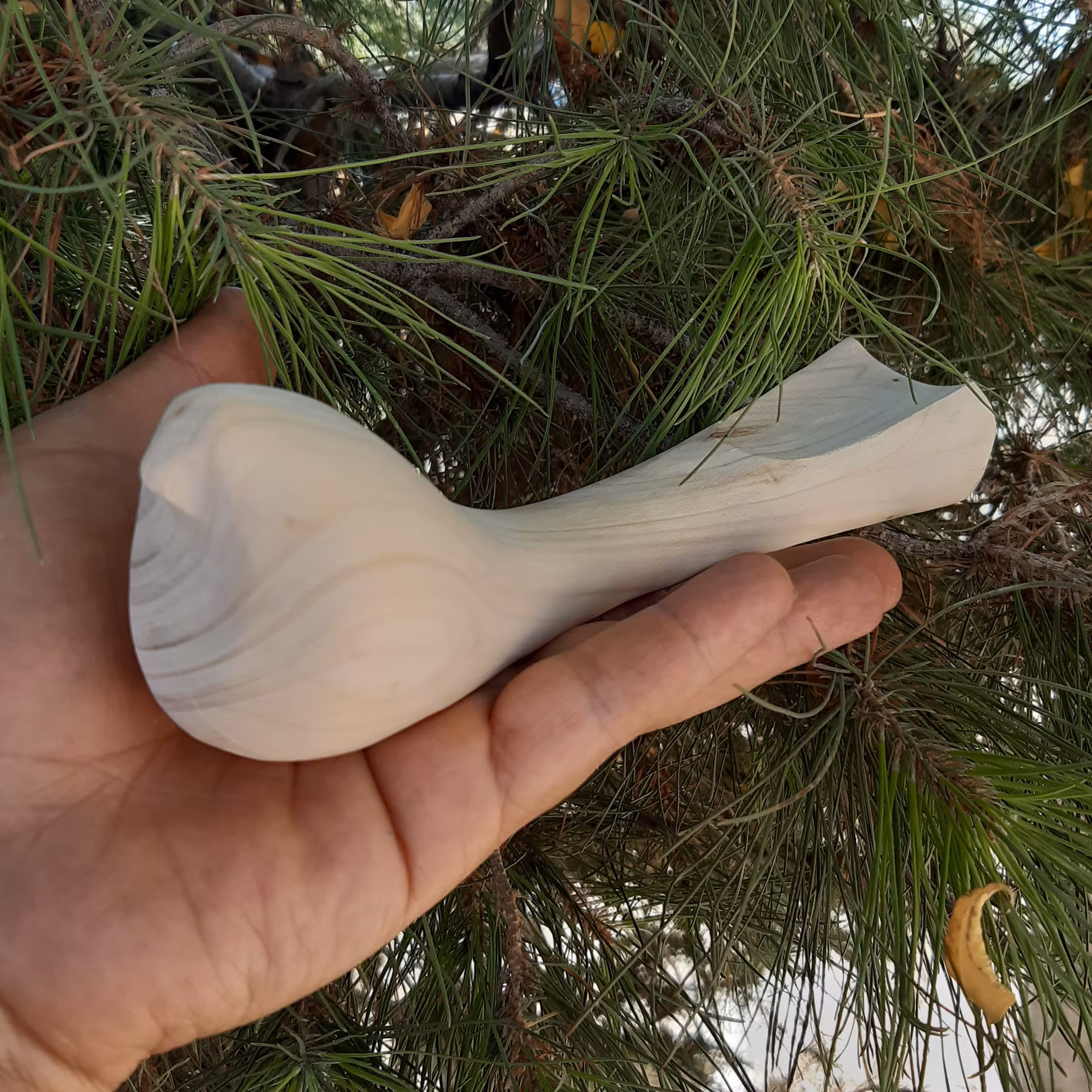 پرنده جاعودی 20سانت پک 5عددی