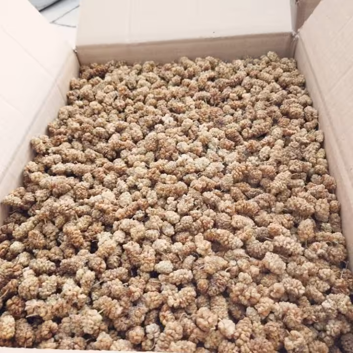 1 بسته توت خشک اعلای خراسان 500 گرم